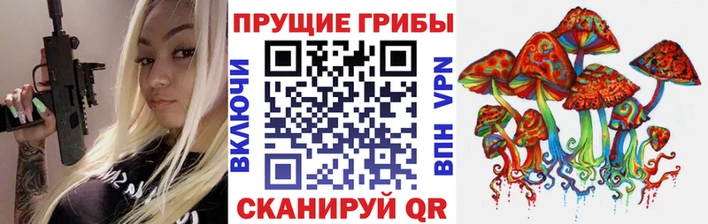 Галлюциногенные грибы Cubensis  Горнозаводск 
